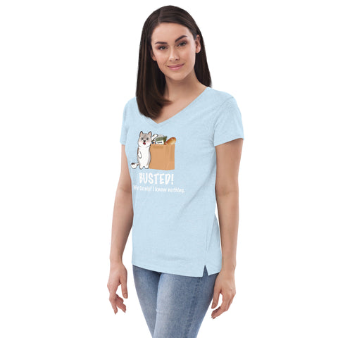 Ozzy Catnip Women’s recycled v-neck t-shirt